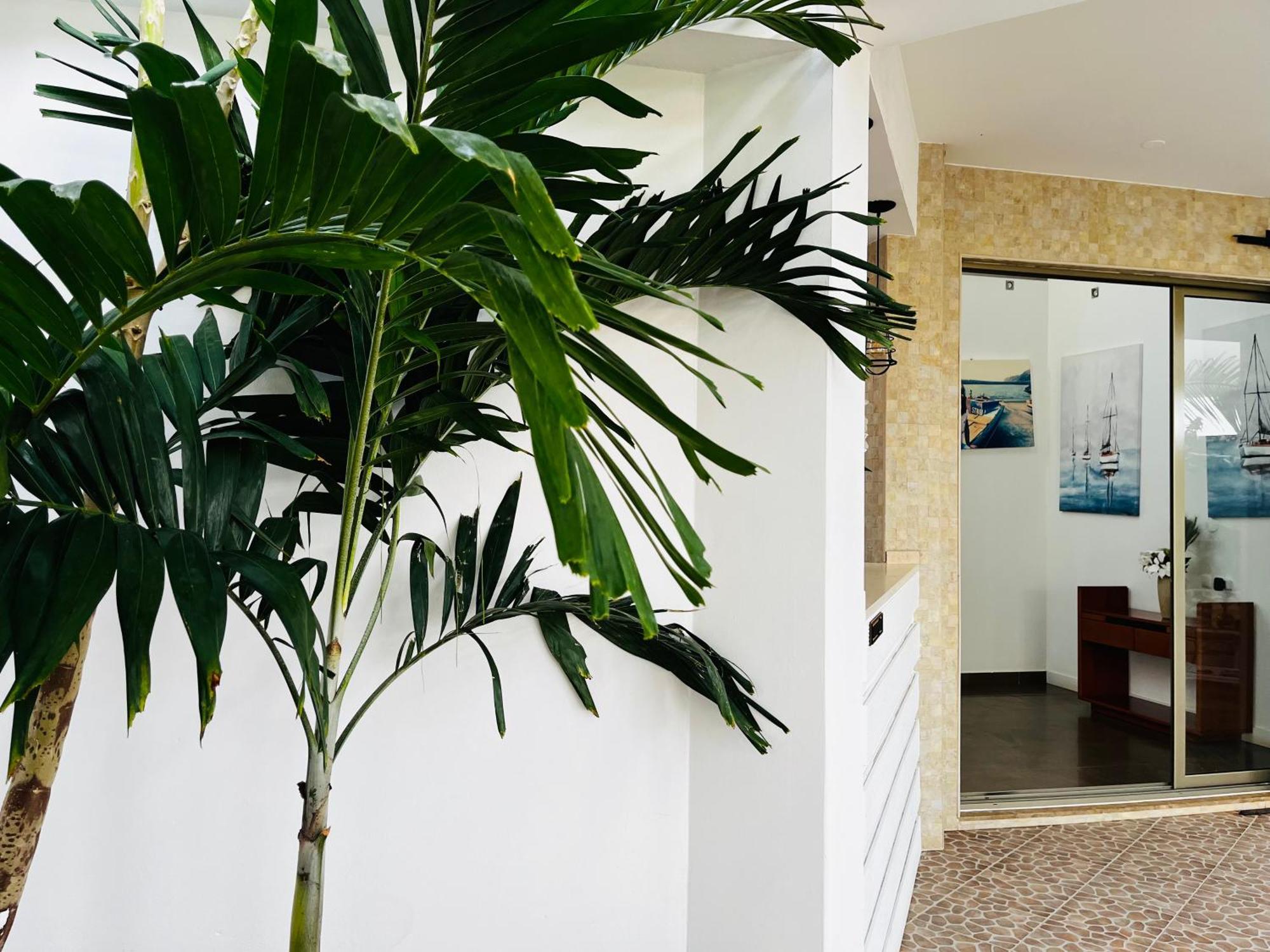 סאו פיליפי Fogo Boutique Hotel מראה חיצוני תמונה